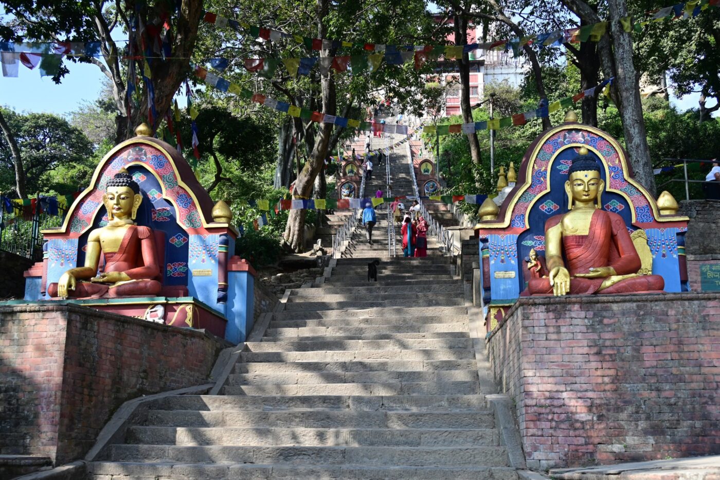 Capital to Country 2025 Monkey Temple steps